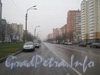 Перспектива улицы Маршала Захарова от проспекта Маршала Жукова в сторону улицы Десантников.