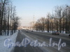 Перспектива ул. Пограничника Гарькавого от ул. Чекистов в сторону Петергофского шоссе. Фото февраль 2012 г.