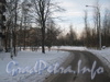 Перспектива Ковалёвской ул. от Камышинской ул. Вдали виден дом 22 корпус 2. Фото февраль 2012 г.