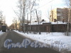 Перспектива Ковалёвской ул. от дома 14 (справа) в сторону Рябовского шоссе. Фото февраль 2012 г.
