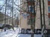 ул. Тамбасова, дом 25, корп. 7. Фрагмент фасада жилого дома. Фото февраль 2012 г.
