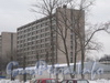 Ул. Трефолева, дом 37. Общий вид дома со стороны трамвайного кольца. Фото февраль 2012 г.