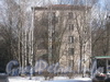 Ул. Тамбасова, дом 30, корп. 1. Общий вид со стороны дома 25 корпус 3. Фото март 2012 г.