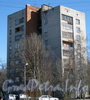 Ул. Лёни Голикова, дом 23, корпус 7. Общий вид из парка «Александрино». Фото март 2012 г.