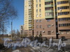 Ул. Лёни Голикова, дома 29, корпус 8 (на переднем плане) и корпус 7 (за ним) и проезд вдоль границы парка «Александрино». Фото март 2012 г.