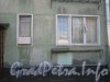 Ул. Примакова, дом 16. Окна первого этажа. Фото 3 мая 2012 г.