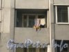 Ул. Маршала Захарова, дом 39. Кот на балконе дома со стороны двора. Фото сентябрь 2012 г.