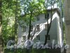 Ул. Танкиста Хрустицкого, дом 46. Общий вид со стороны дома 32. Фото 23 мая 2012 г.