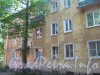 Ул. Танкиста Хрустицкого, дом 36. Общий вид дома со стороны парадных. Фото 23 мая 2012 г.