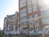 Ул. Танкиста Хрустицкого, дом 62. «Дом со львами». Фрагмент фасада здания. Фото 23 мая 2012 г.