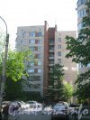 Ул. Танкиста Хрустицкого, дом 11. Общий вид со стороны дома 58. Фото 23 мая 2012 г.