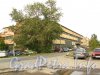 Ул. Книпович, дом 21. Угол со стороны Глухоозерского шоссе. Фото сентябрь 2012 г.