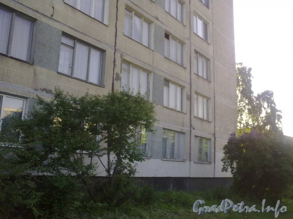 Бухарестская ул., д. 39 корпус 1. Фрагмент фасада жилого дома. Фото 2011 г.
