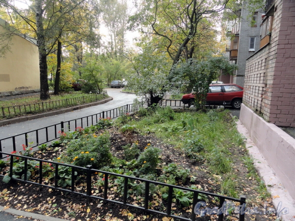 Торжковская ул., д. 11. Палисадник во дворе жилого дома. Фото 2011 г.