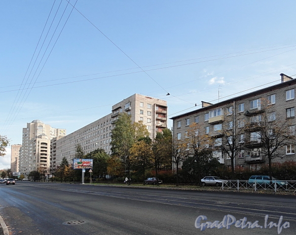 Перспектива Торжковской улицы от Новосибирской улицы в сторону Сердобольской улицы. Фото 2011 г.
