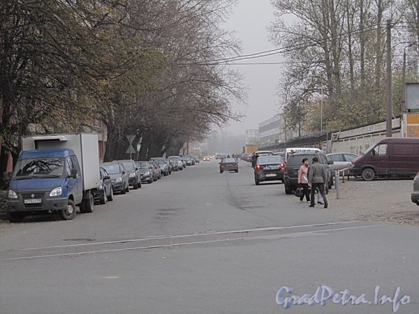 Перспектива Менделеевской улицы от Чугунной улицы в сторону Литовской улицы. Фото октябрь 2011 г.