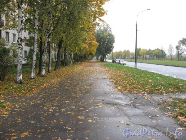 Перспектива улицы Здоровцева от дома 33, корп. 1 в сторону проспекта Ветеранов. Фото сетябрь 2011 г.