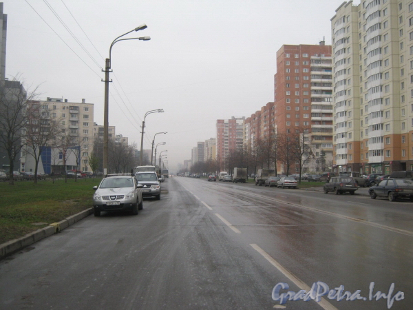 Перспектива улицы Маршала Захарова от проспекта Маршала Жукова в сторону улицы Десантников.