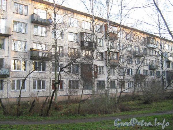 Бухарестская ул., д. 35, корп. 4. Общий вид жилого дома. Фото 2011 г.