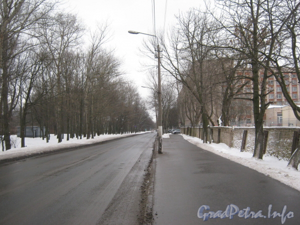 Перспектива ул. Чекистов в сторону 2-ой Комсомольской улицы. Фото январь 2012 г.