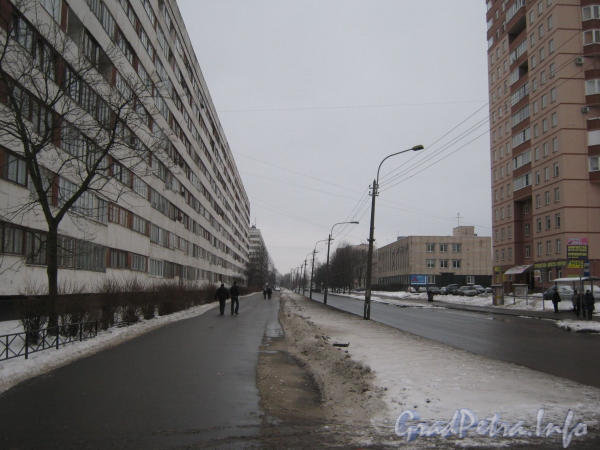 Перспектива улицы Пионерстроя от Рогачевского переулка в сторону проспекта Ветеранов. Фото январь 2012 г.