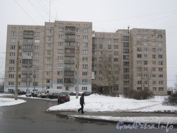 Ул. Пионерстроя, дом 29. Общий вид дома. Фото январь 2012 г.