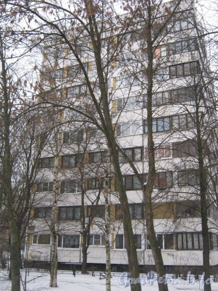 2-я Комсомольская ул., дом 51. Общий вид жилого дома. Фото январь 2012 г.