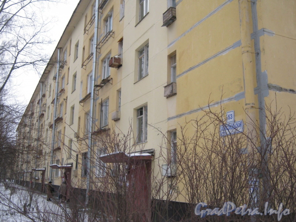 2-я Комсомольская ул., дом 53. Фрагмент фасада жилого дома. Фото январь 2012 г.