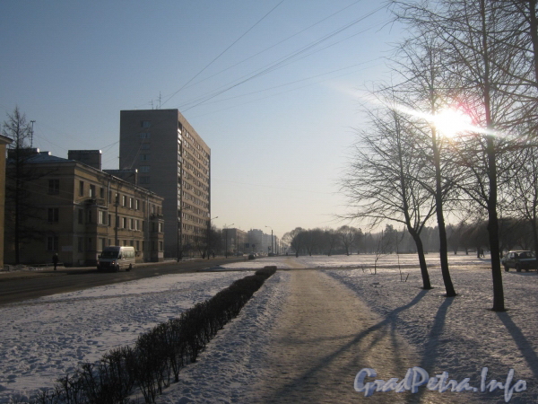 Перспектива улицы Лётчика Пилютова от 23 дома в сторону Сосновой Поляны. Слева дом 34 корп. 1 (3-этажный) и дом 36 (12-этажный). Фото январь 2012 г.