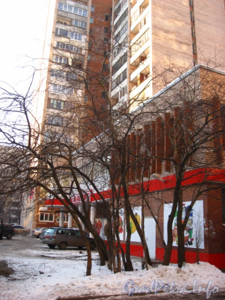 Ул. Асафьева, дом 9, корп. 2. Первый этаж жилого дома. Фото 2011 г.