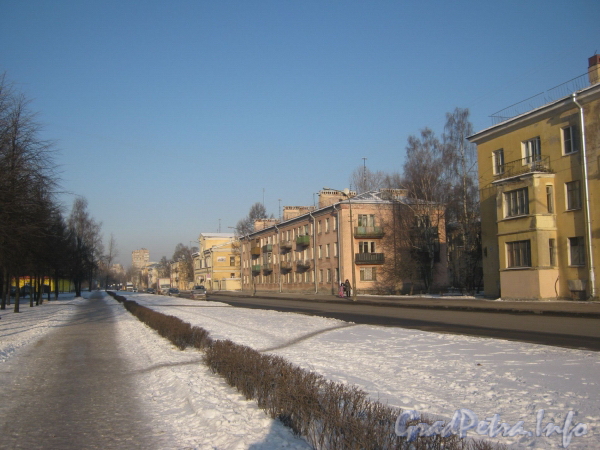 Перспектива ул. Лётчика Пилютова в сторону ул. Чекистов от дома 32. Фото февраль 2012 г.