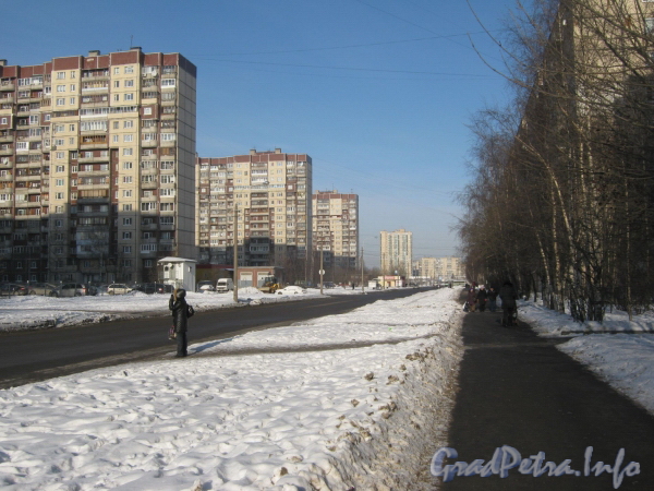 Перспектива ул. Чудновского от дома 6 корпус 1 в сторону ул. Кржижановского. Фото февраль 2012 г.