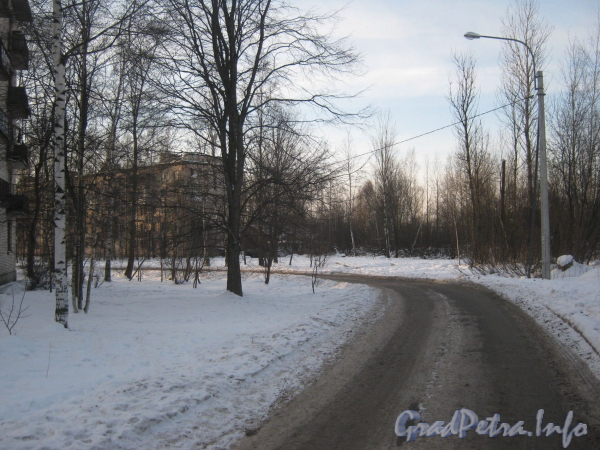 Перспектива Ковалёвской ул. от Камышинской ул. Вдали виден дом 22 корпус 2. Фото февраль 2012 г.