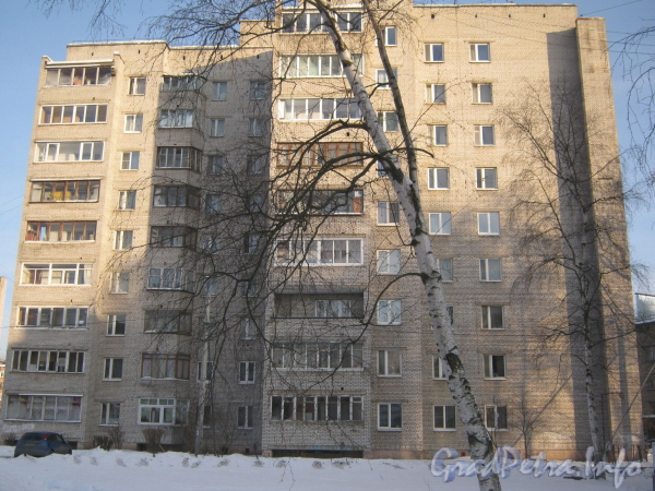 Ковалевская ул. дом 23, корп. 1. Общий вид со стороны дома 21. Фото февраль 2012 г.