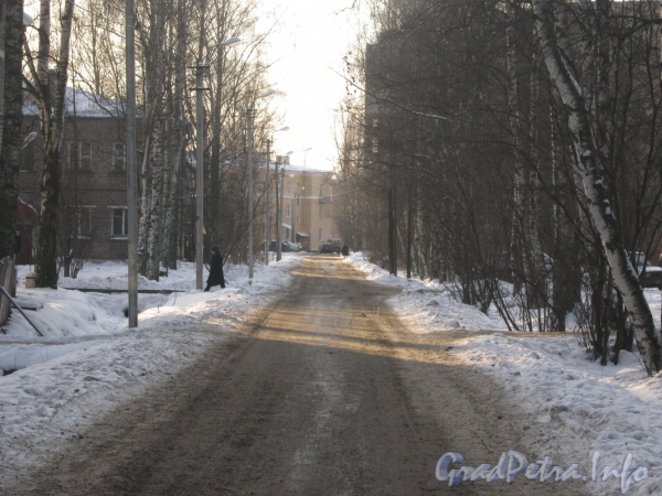 Перспектива Ковалёвской ул. от дома 24 в сторону дома 10 (розовый впереди). Фото февраль 2012 г.
