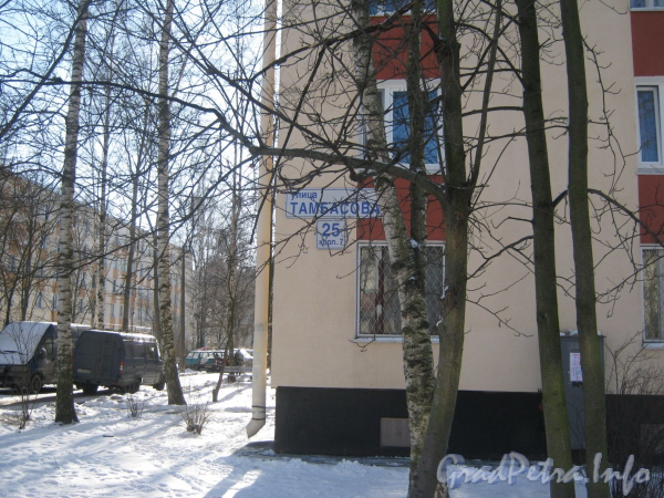 ул. Тамбасова, дом 25, корп. 7. Фрагмент фасада жилого дома. Фото февраль 2012 г.
