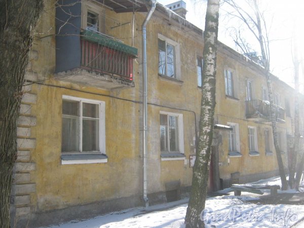 Ул. Тамбасова, дом 19, корп. 5. Общий вид дома со стороны его парадных. Фото февраль 2012 г.