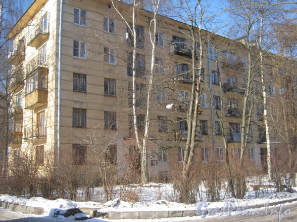 Ул. Тамбасова, дом 19, корп. 6. Общий вид со стороны дома 21 корпус 4. Фото февраль 2012 г.