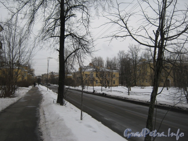 Перспектива ул. Белоусова в сторону пр. Стачек от дома 27. Фото февраль 2012 г.