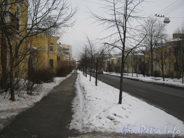 Перспектива пешеходной части ул. Белоусова от дома 15 (слева) в сторону пр. Стачек. Фото февраль 2012 г.