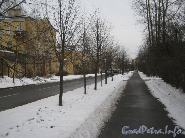 Общий вид пешеходной части ул. Белоусова по чётной стороне от дома 15 (слева) в сторону пр. Стачек. Фото февраль 2012 г.