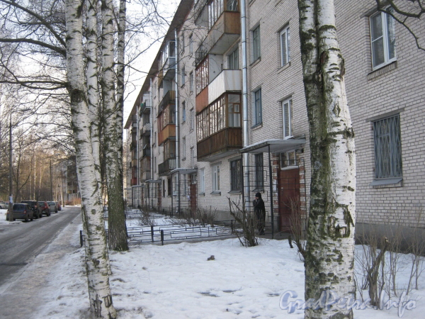 Ул. Тамбасова, дом 34, корп. 1. Общий вид дома со стороны парадных. Фото март 2012 г.