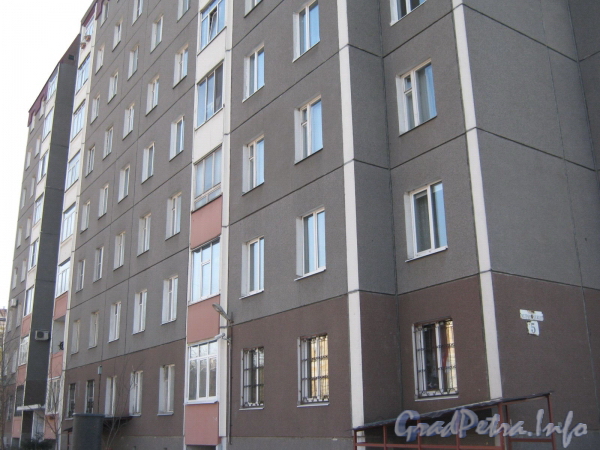 Ул. Метростроевцев, дом 5. Фасад со стороны Молодёжного пер. Фото март 2012 г.