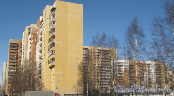 Ул. Маршала Захарова, дом 50, корп. 1. Общий вид жилого дома. Фото март 2012 г.