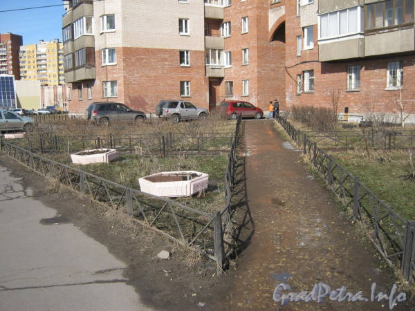 Ул. Маршала Захарова, дом 36. Декоративные посадки перед домом. Фото март 2012 г.