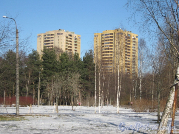 Ул. Лёни Голикова, дом 29 корпус 7 (слева) и корпус 8 (справа). Фото март 2012 г. с ул. Козлова (вид через парк Александрино).