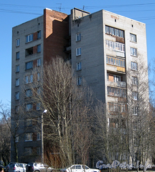 Ул. Лёни Голикова, дом 23, корпус 7. Общий вид из парка «Александрино». Фото март 2012 г.