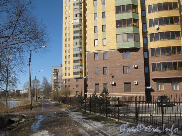 Ул. Лёни Голикова, дома 29, корпус 8 (на переднем плане) и корпус 7 (за ним) и проезд вдоль границы парка «Александрино». Фото март 2012 г.