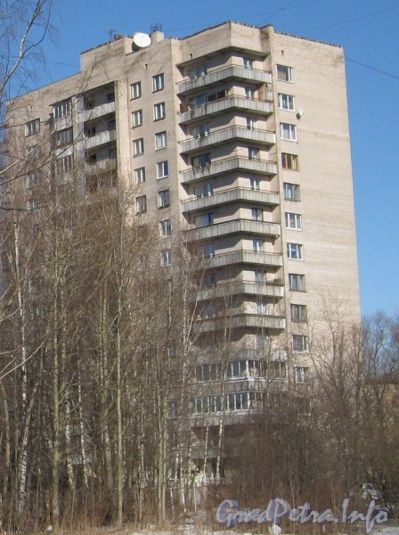 Ул. Лёни Голикова, дом 31, корпус 3. Общий вид со стороны парка «Александрино». Фото март 2012 г.
