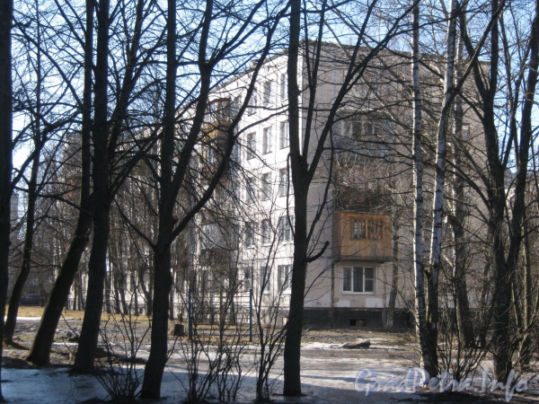 Ул. Козлова, дом 25, корпус 2. Вид с ул. Козлова. Фото март 2012 г.